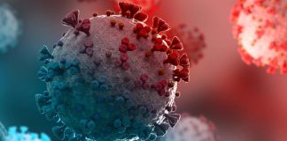 'Cicada' COVID is spreading. Here are the symptoms.