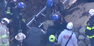 Dog rescued from 12-foot sinkhole in owner's backyard