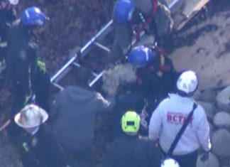Dog rescued from 12-foot sinkhole in owner's backyard