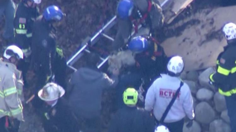Dog rescued from 12-foot sinkhole in owner's backyard
