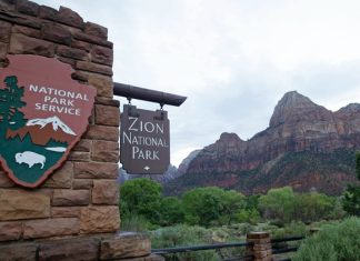 Here are the top 10 most visited National Parks in 2025