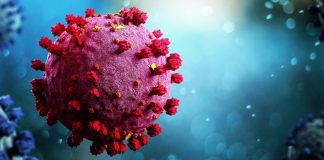 New 'cicada' COVID variant detected in more than 20 states, CDC warns