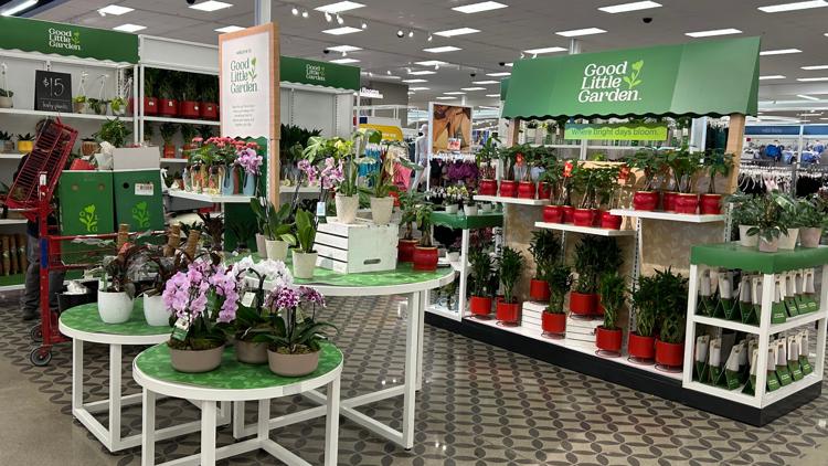 Target is lowering prices on over 3,000 products this spring