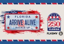 America 250 license plates roll out in multiple states with designs that celebrate patriotism