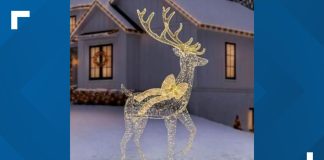 Christmas decoration sold through Sam's Club poses burn risk, 2,460 units recalled