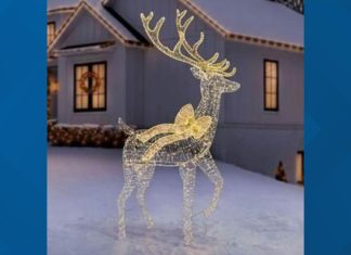 Christmas decoration sold through Sam's Club poses burn risk, 2,460 units recalled