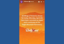 Dollywood cancels 'Wings of America' shows for a second day after eagle sanctuary suffers storm damage