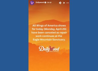 Dollywood cancels 'Wings of America' shows for a second day after eagle sanctuary suffers storm damage