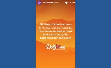 Dollywood cancels 'Wings of America' shows for a second day after eagle sanctuary suffers storm damage