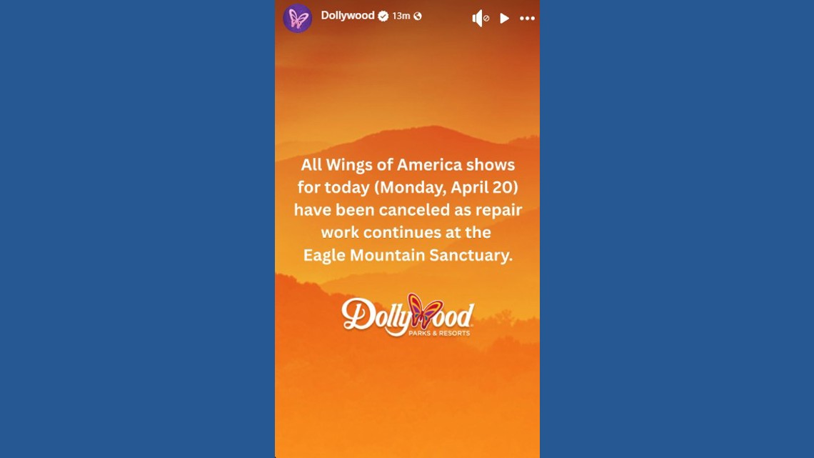 Dollywood cancels 'Wings of America' shows for a second day after eagle sanctuary suffers storm damage
