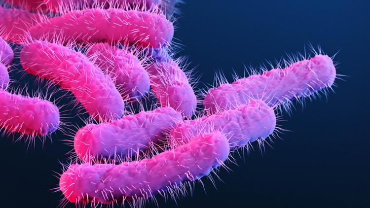 Drug-resistant strain of diarrhea-inducing Shigella infection on the rise in the US, CDC says