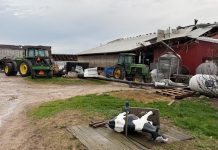 Hundreds of cows loose after tornado hits dairy farm in Michigan
