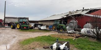 Hundreds of cows loose after tornado hits dairy farm in Michigan