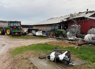 Hundreds of cows loose after tornado hits dairy farm in Michigan