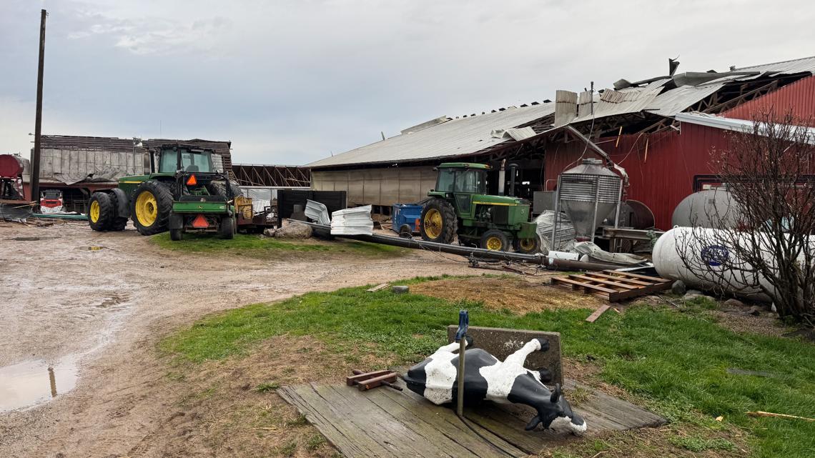 Hundreds of cows loose after tornado hits dairy farm in Michigan