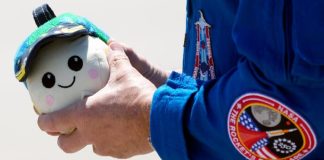 Meet 'Rise,' Artemis II's zero-G indicator for lunar mission