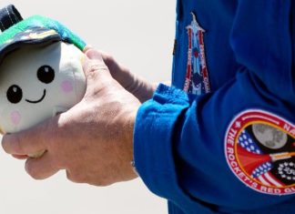 Meet 'Rise,' Artemis II's zero-G indicator for lunar mission