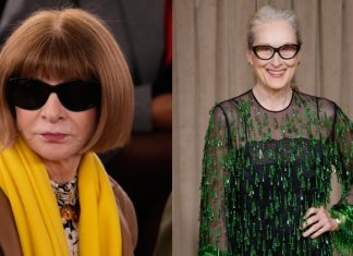 Meryl Streep and Anna Wintour are related, Ancestry finds