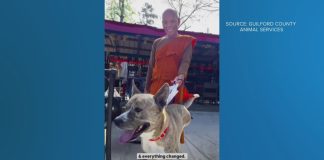 Monk from Walk for Peace adopts three-legged shelter dog