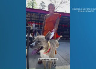 Monk from Walk for Peace adopts three-legged shelter dog