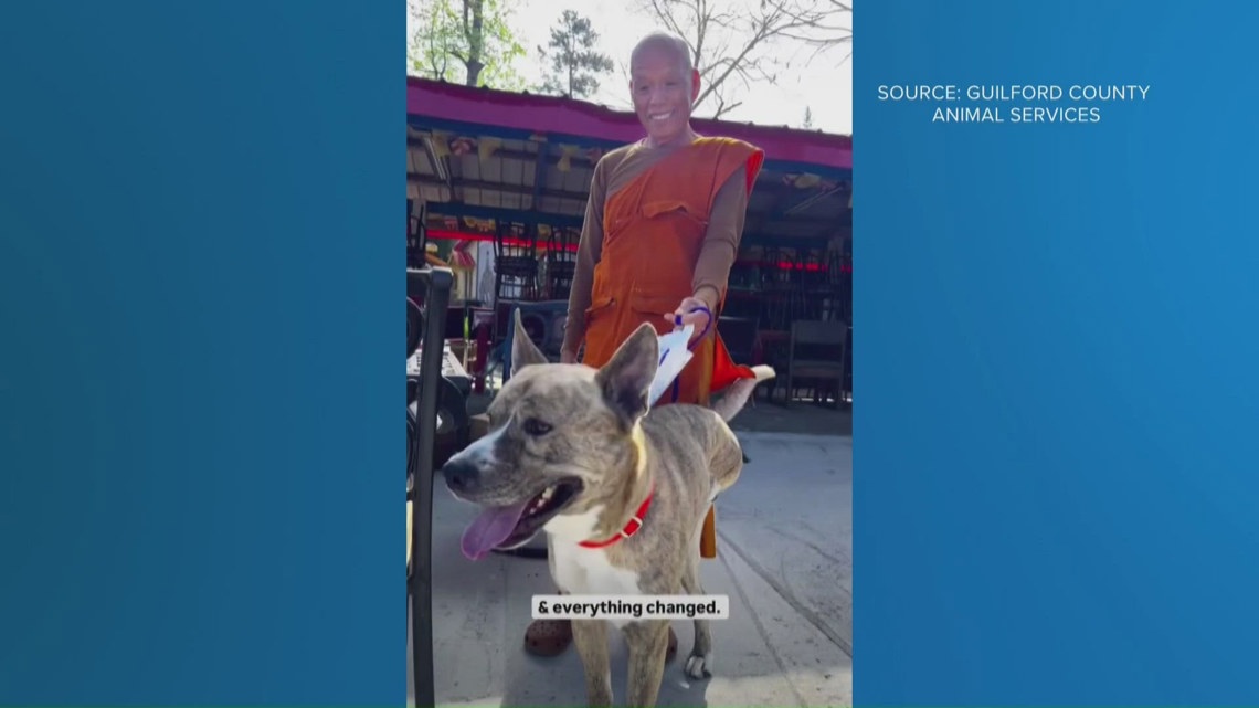 Monk from Walk for Peace adopts three-legged shelter dog