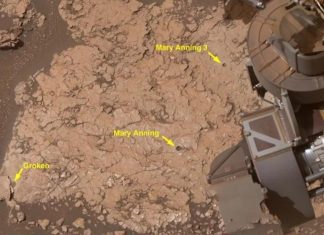 NASA Curiosity rover finds rare molecules on Mars that could be clues to ancient life