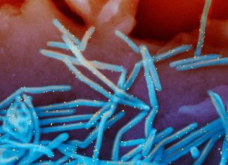 RSV season stretches into spring, prompting some regions to extend immunization window