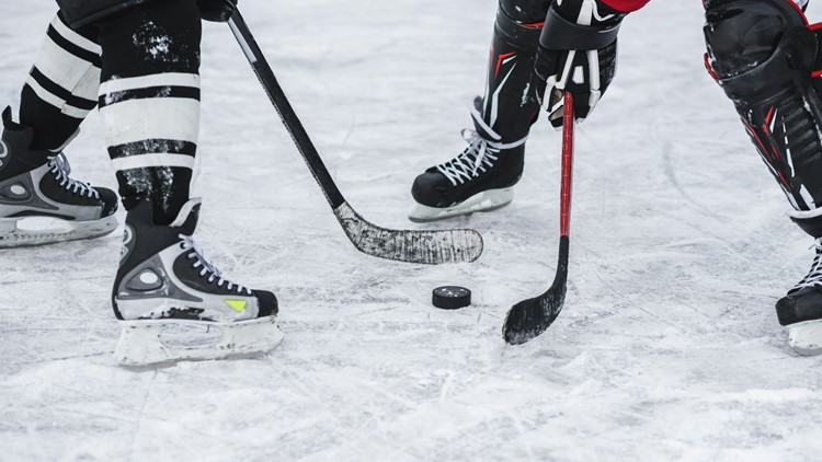 Stanley Cup playoffs start this weekend. Here are the teams Stanley Cup playoffs start this weekend. Here are the teams that made the cut.
