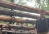 Texan student building log cabin by hand to experience how 'early America' was built goes viral on TikTok