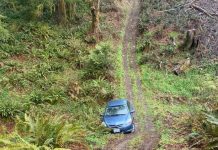 Washington tow driver hikes into deep woods to rescue Uber Eats driver stranded by GPS