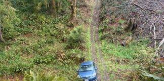 Washington tow driver hikes into deep woods to rescue Uber Eats driver stranded by GPS