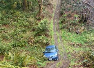 Washington tow driver hikes into deep woods to rescue Uber Eats driver stranded by GPS