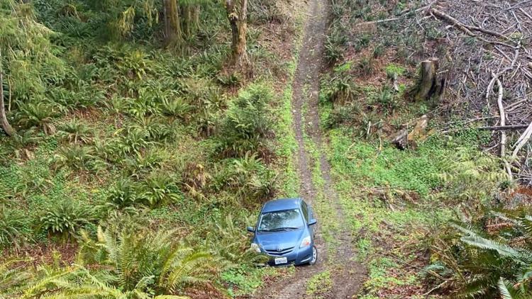 Washington tow driver hikes into deep woods to rescue Uber Eats driver stranded by GPS