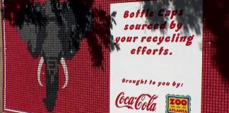 Zoo Atlanta partners with Proof of the Pudding to protect the planet