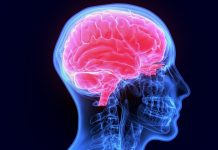 Predicting falls, resetting immune systems and playing pickleball safely